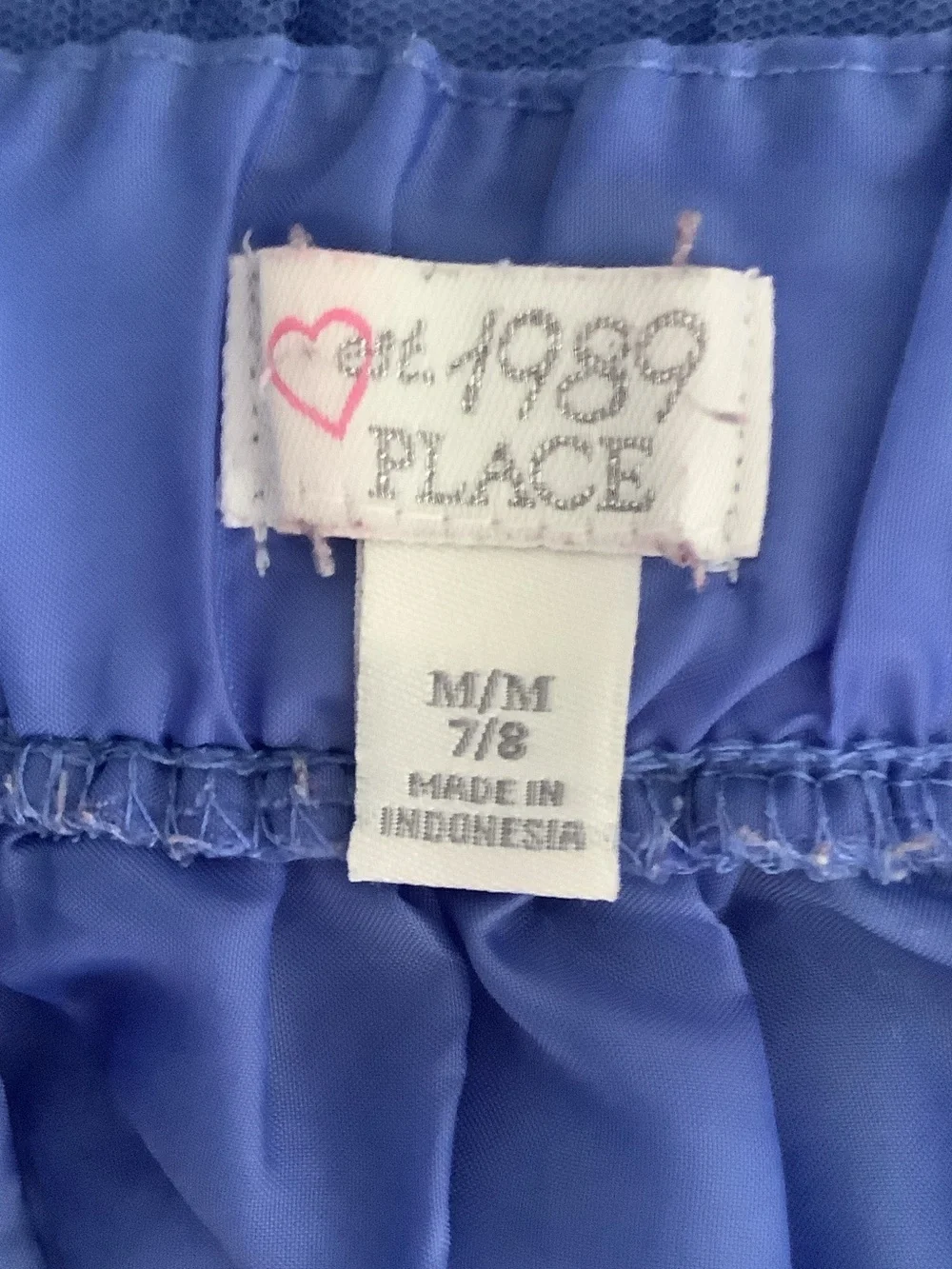 The Children's Place Blue Tulle Circle Skirt